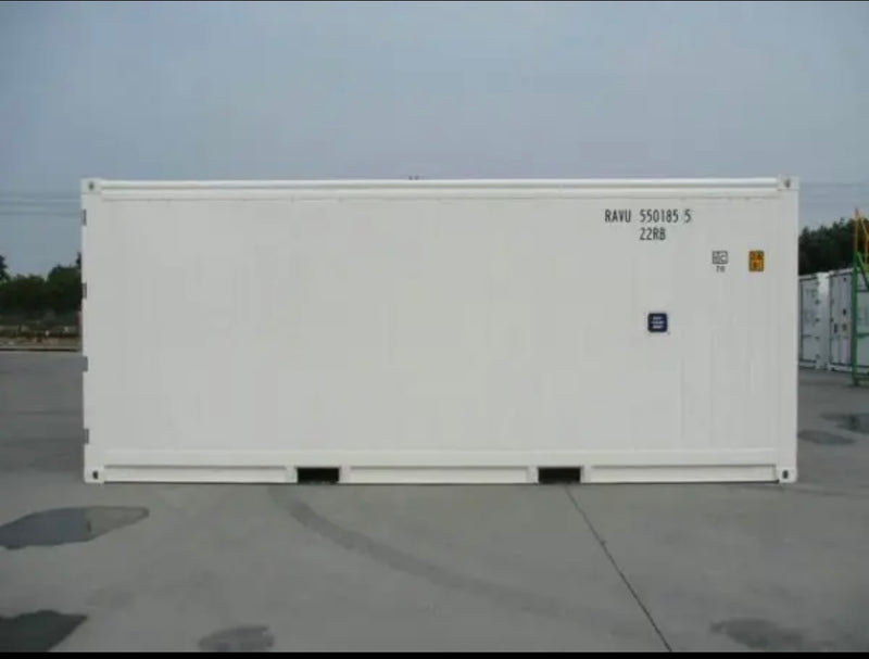 CONTAINER 20 PIEDS FRIGORIFIQUE (REEFER)