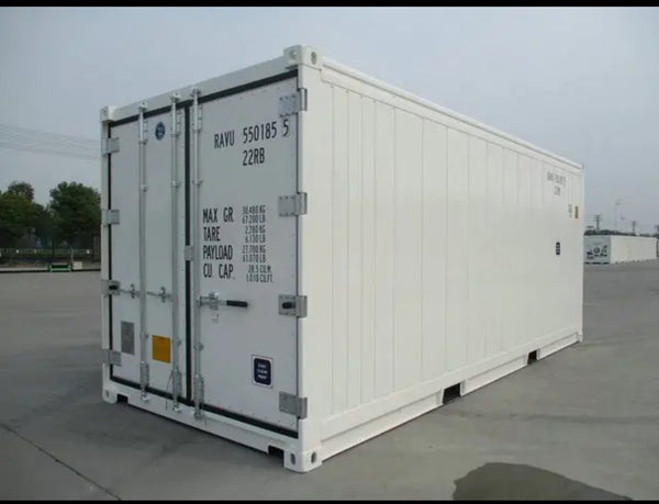 CONTAINER FRIGORIFIQUE 40 PIEDS
